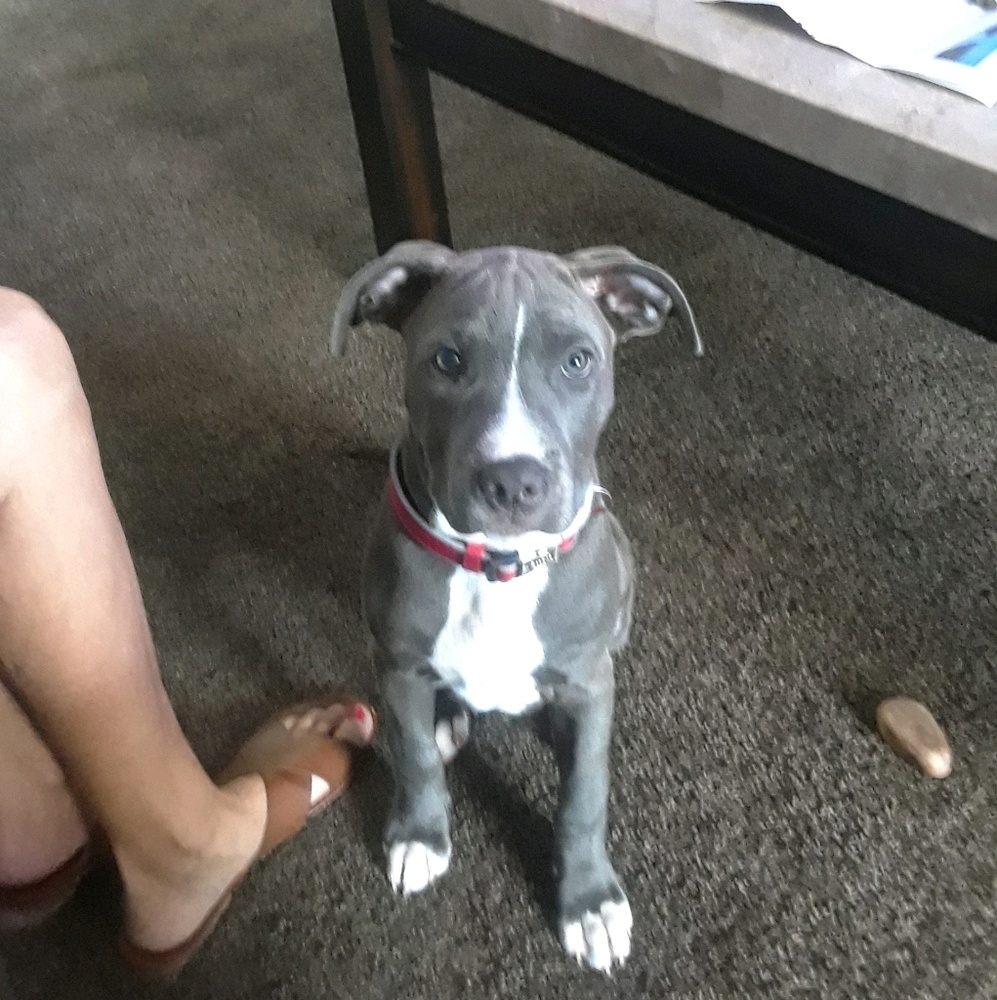 Meet your Posher, Katherine